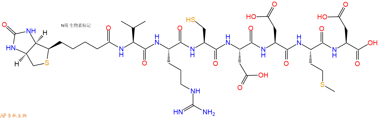 专肽生物产品Biotinyl-Val-Arg-Cys-Asp-Asp-Met-Asp-OH