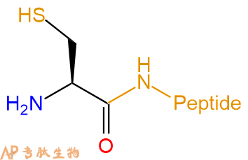 专肽生物产品H2N-Cys-peptide
