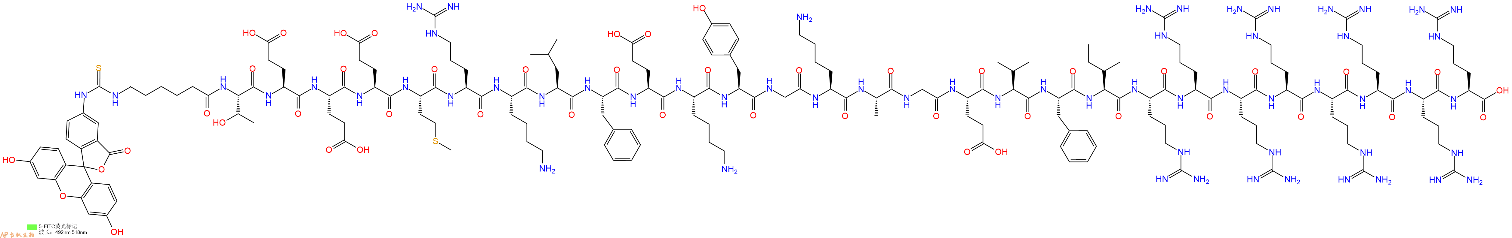 专肽生物产品5FITC-Ahx-Thr-Glu-Glu-Glu-Met-Arg-Lys-Leu-Phe-Glu-Lys-Tyr-Gly-Lys-Ala-Gly-Glu-Val-Phe-Ile-Arg-Arg-Arg-Arg-Arg-Arg-Arg-Arg-OH