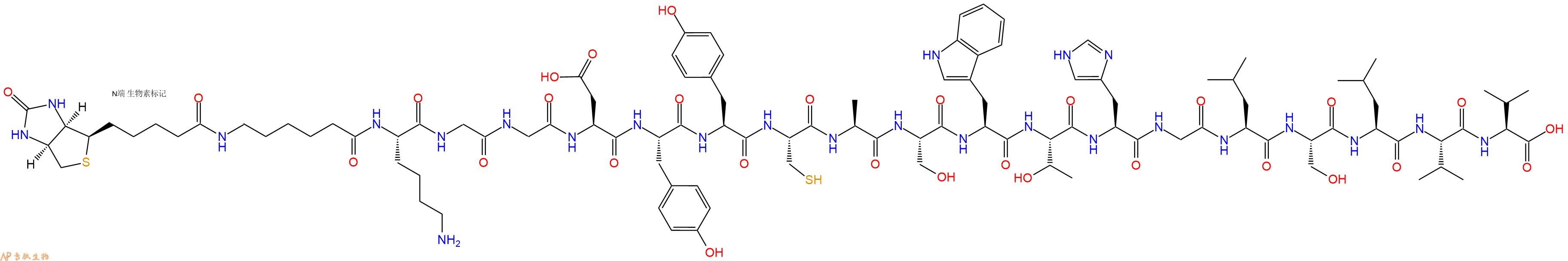 专肽生物产品Biotinyl-Ahx-Lys-Gly-Gly-Asp-Tyr-Tyr-Cys-Ala-Ser-Trp-Thr-His-Gly-Leu-Ser-Leu-Val-Val-OH