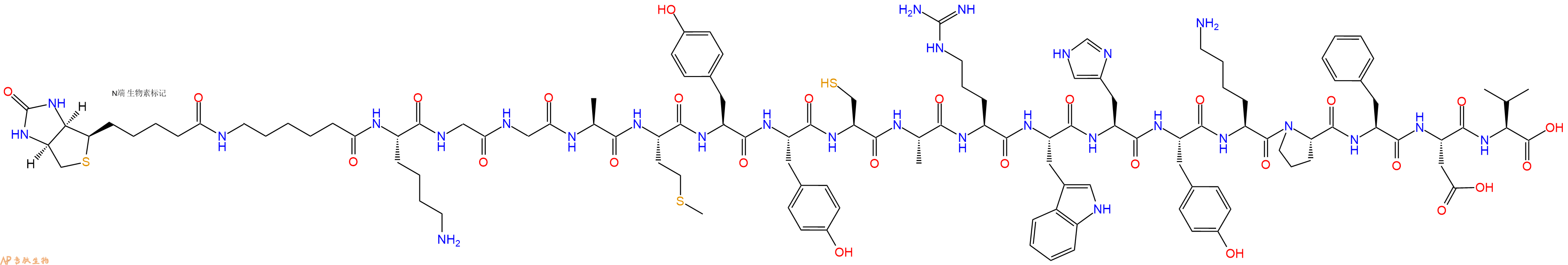 专肽生物产品Biotinyl-Ahx-Lys-Gly-Gly-Ala-Met-Tyr-Tyr-Cys-Ala-Arg-Trp-His-Tyr-Lys-Pro-Phe-Asp-Val-OH
