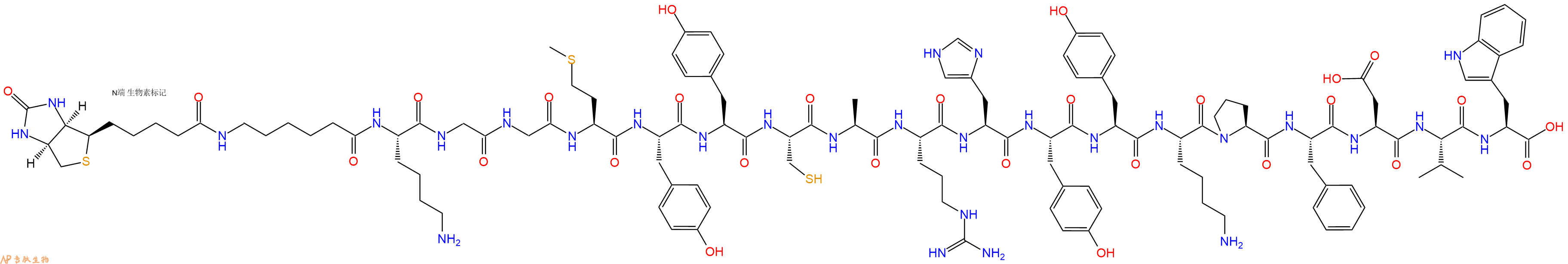 专肽生物产品Biotinyl-Ahx-Lys-Gly-Gly-Met-Tyr-Tyr-Cys-Ala-Arg-His-Tyr-Tyr-Lys-Pro-Phe-Asp-Val-Trp-OH