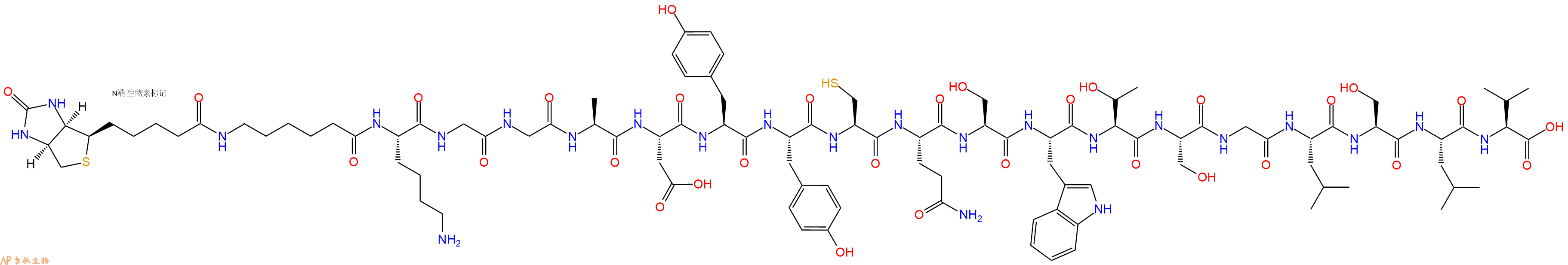专肽生物产品Biotinyl-Ahx-Lys-Gly-Gly-Ala-Asp-Tyr-Tyr-Cys-Gln-Ser-Trp-Thr-Ser-Gly-Leu-Ser-Leu-Val-OH