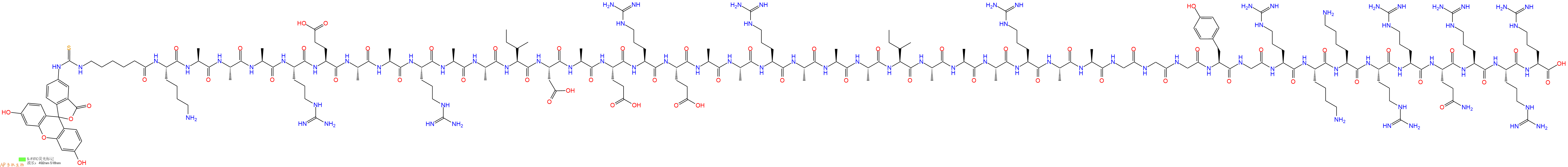 专肽生物产品5FITC-Ahx-Lys-Ala-Ala-Ala-Arg-Glu-Ala-Ala-Arg-Ala-Ala-Ile-Asp-Ala-Glu-Arg-Glu-Ala-Ala-Arg-Ala-Ala-Ala-Ile-Ala-Ala-Ala-Arg-Ala-Ala-Gly-Gly-Gly-Tyr-Gly-Arg-Lys-Lys-Arg-Arg-Gln-Arg-Arg-Arg-OH