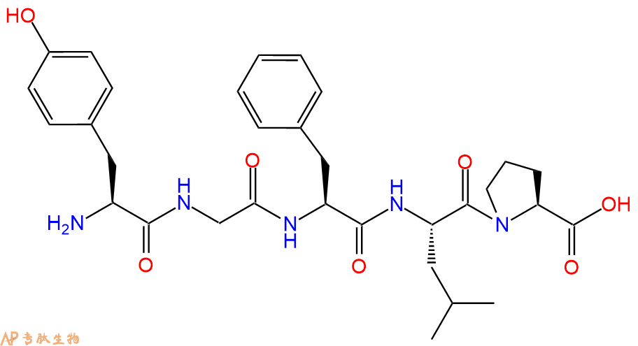 专肽生物产品H2N-Tyr-Gly-Phe-Leu-Pro-OH