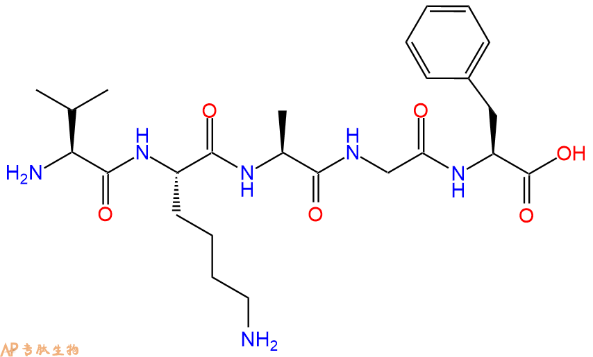 专肽生物产品H2N-Val-Lys-Ala-Gly-Phe-OH