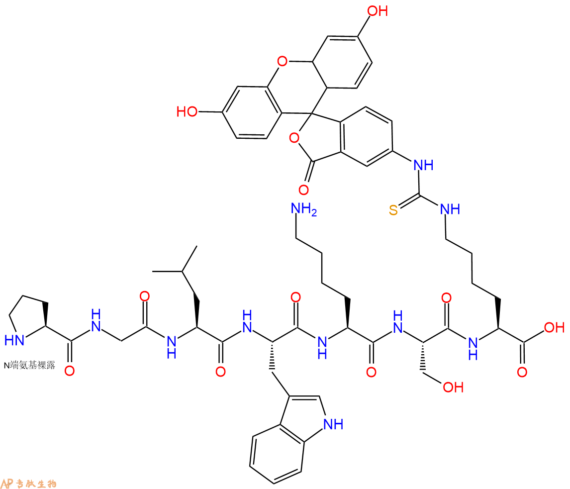专肽生物产品H2N-Pro-Gly-Leu-Trp-Lys-Ser-Lys(FITC)-OH