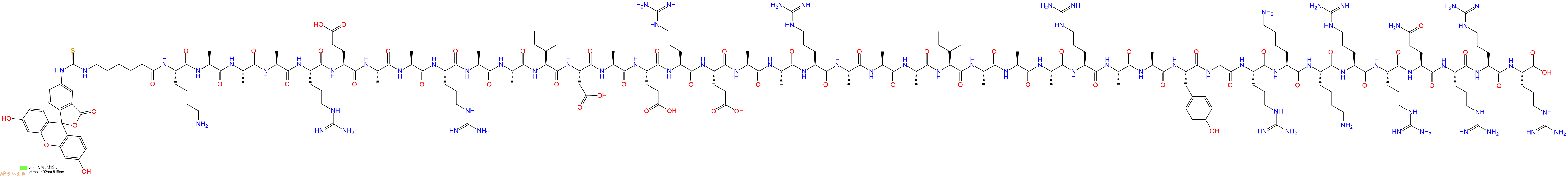 专肽生物产品5FITC-Ahx-Lys-Ala-Ala-Ala-Arg-Glu-Ala-Ala-Arg-Ala-Ala-Ile-Asp-Ala-Glu-Arg-Glu-Ala-Ala-Arg-Ala-Ala-Ala-Ile-Ala-Ala-Ala-Arg-Ala-Ala-Tyr-Gly-Arg-Lys-Lys-Arg-Arg-Gln-Arg-Arg-Arg-OH