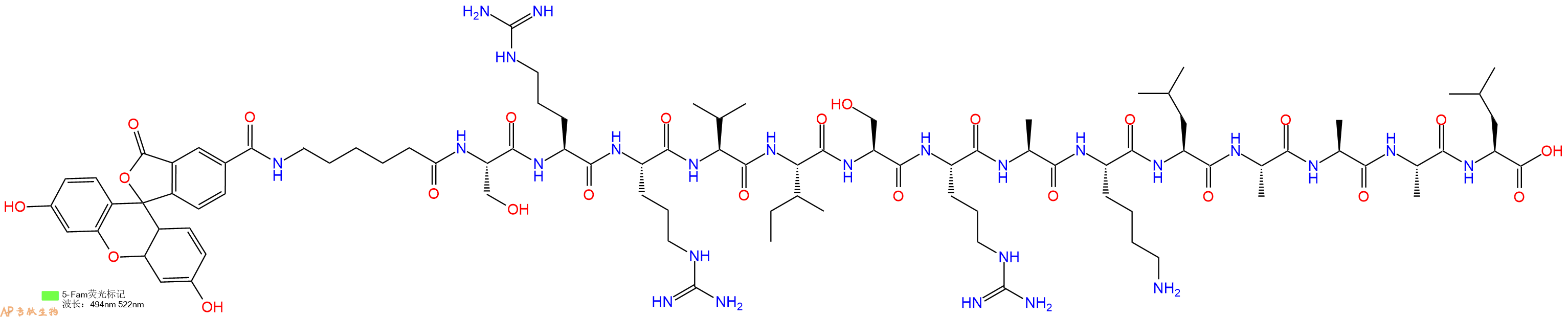 专肽生物产品5FAM-Ahx-Ser-Arg-Arg-Val-Ile-Ser-Arg-Ala-Lys-Leu-Ala-Ala-Ala-Leu-OH