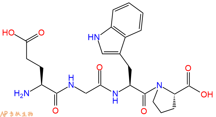 专肽生物产品H2N-Glu-Gly-Trp-Pro-OH