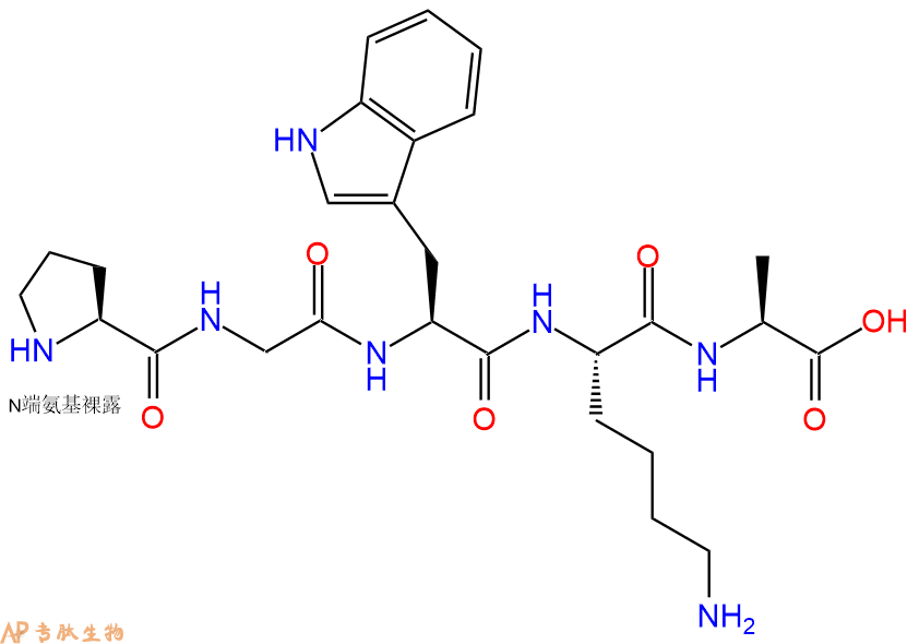 专肽生物产品H2N-Pro-Gly-Trp-Lys-Ala-OH