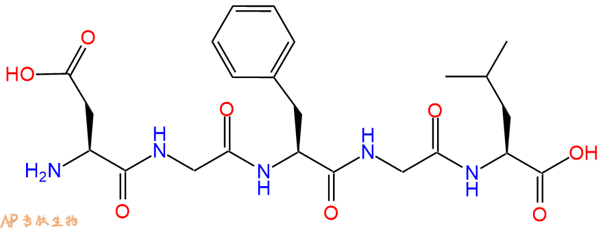 专肽生物产品H2N-Asp-Gly-Phe-Gly-Leu-OH