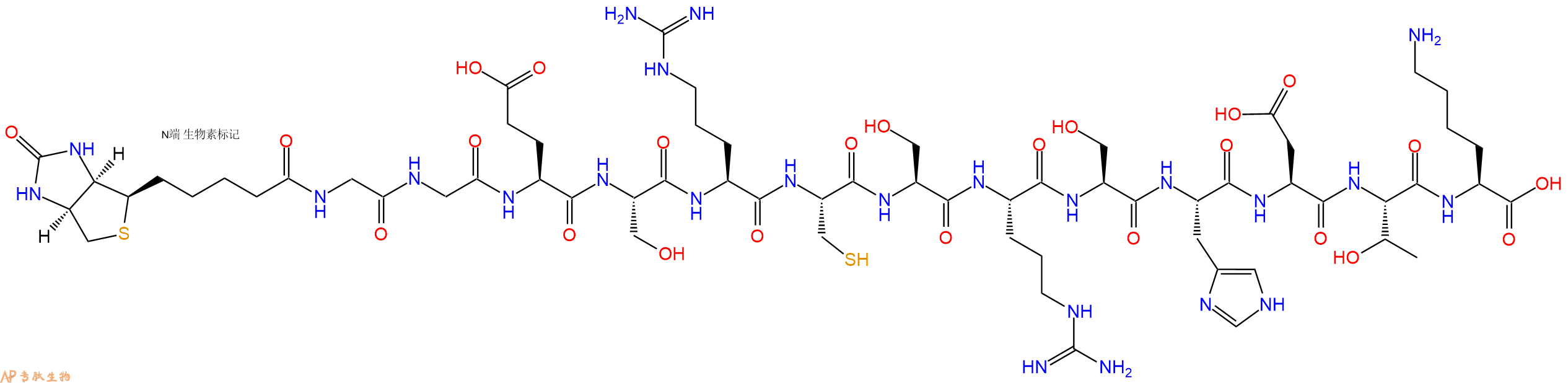 专肽生物产品Biotinyl-Gly-Gly-Glu-Ser-Arg-Cys-Ser-Arg-Ser-His-Asp-Thr-Lys-OH
