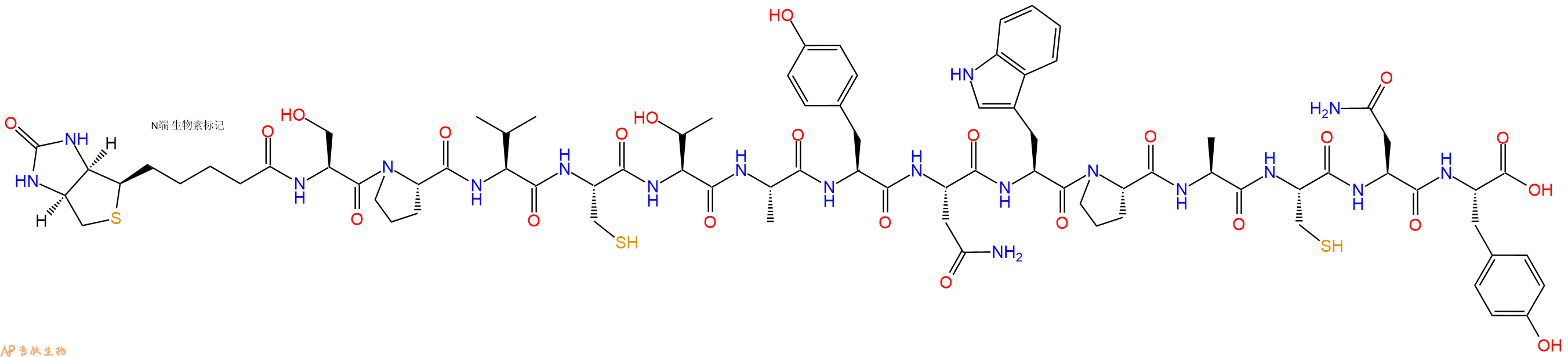 专肽生物产品Biotinyl-Ser-Pro-Val-Cys-Thr-Ala-Tyr-Asn-Trp-Pro-Ala-Cys-Asn-Tyr-OH