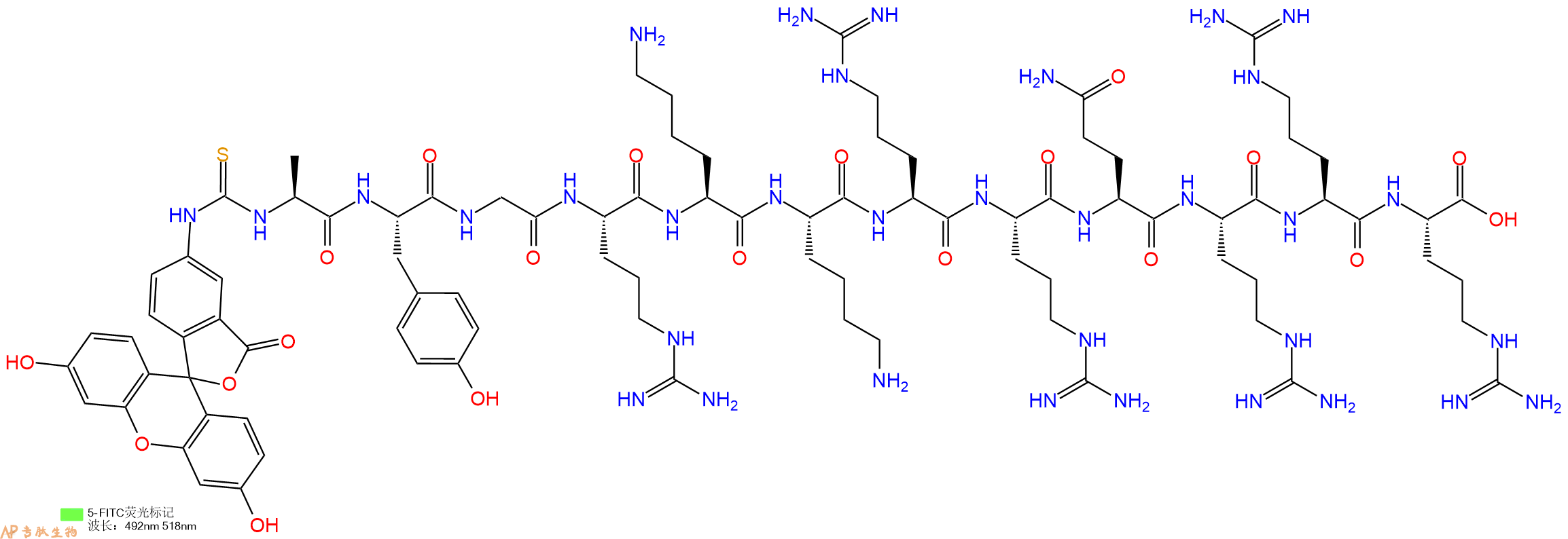专肽生物产品5FITC-Ala-Tyr-Gly-Arg-Lys-Lys-Arg-Arg-Gln-Arg-Arg-Arg-OH