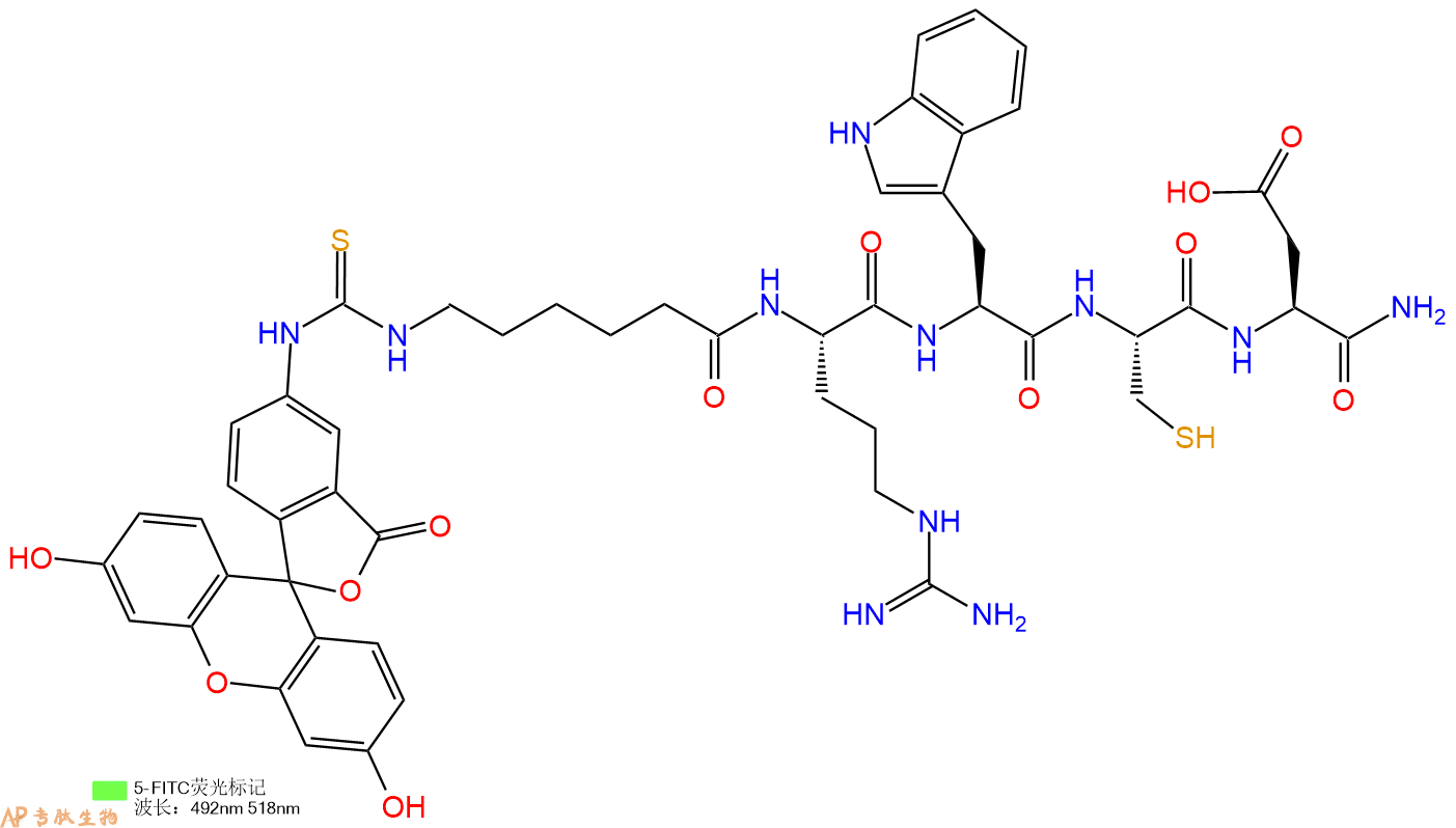 专肽生物产品5FITC-Ahx-Arg-Trp-Cys-Asp-CONH2
