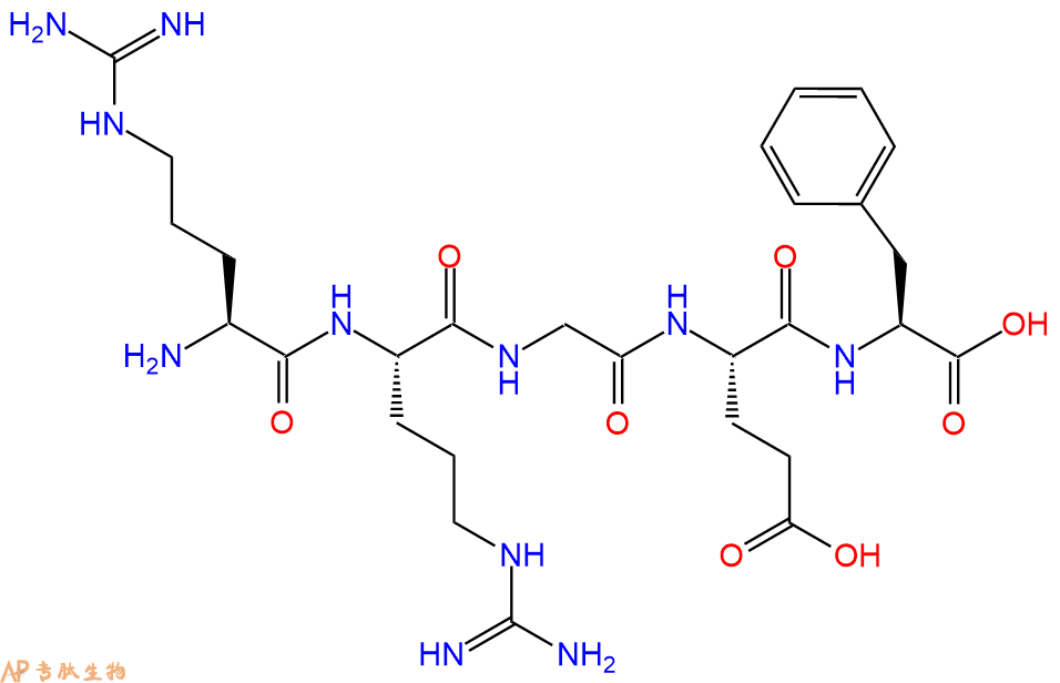 专肽生物产品H2N-Arg-Arg-Gly-Glu-Phe-OH