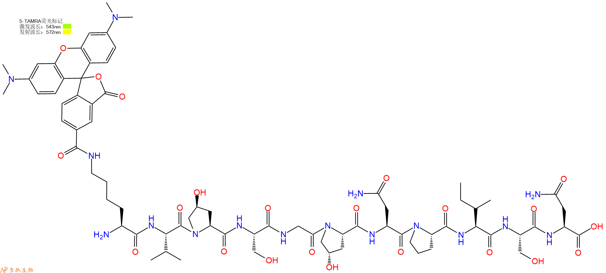 专肽生物产品H2N-Lys(TAMRA)-Val-Hyp-Ser-Gly-Hyp-Asn-Pro-Ile-Ser-Asn-OH