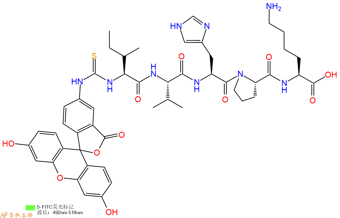 专肽生物产品5FITC-Ile-Val-His-Pro-Lys-OH