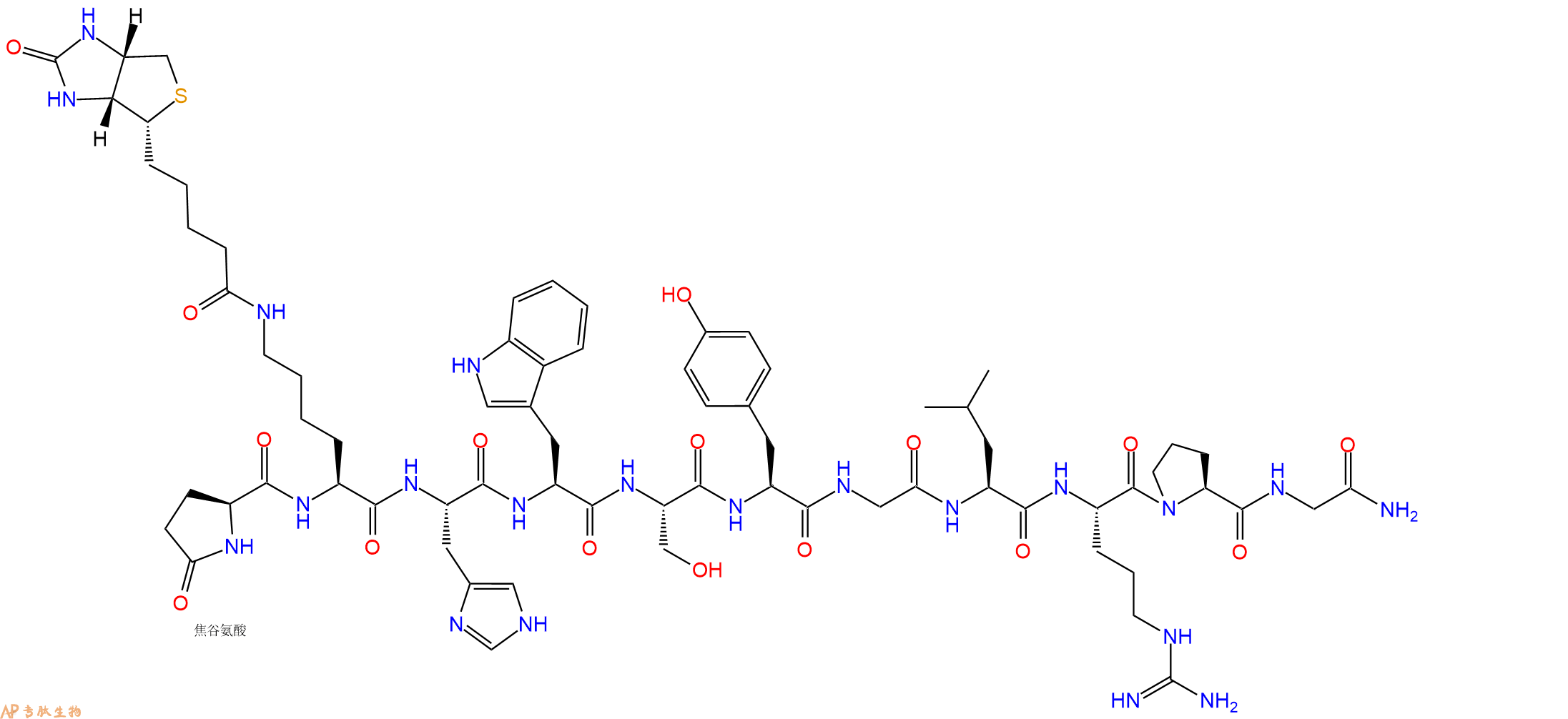 专肽生物产品Pyr-Lys(Biotin)-His-Trp-Ser-Tyr-Gly-Leu-Arg-Pro-Gly-CONH2
