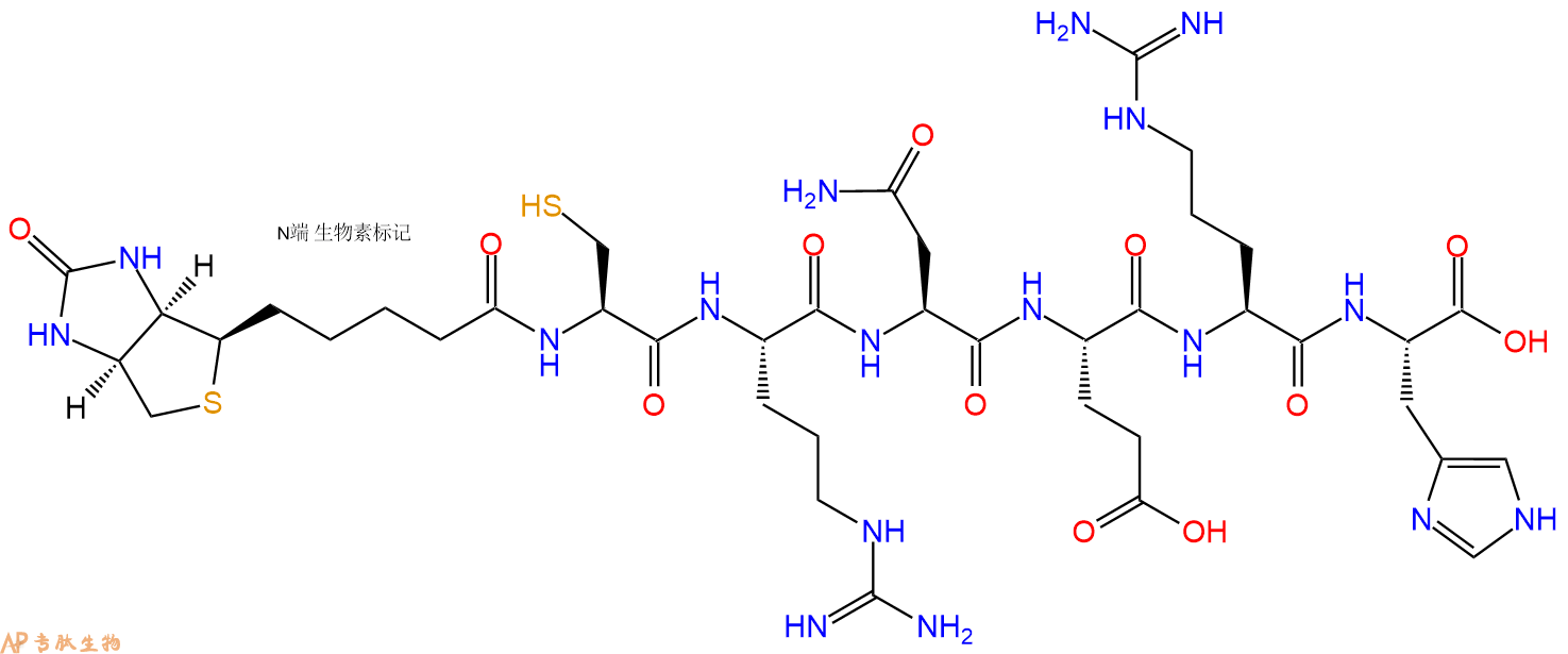 专肽生物产品Biotinyl-Cys-Arg-Asn-Glu-Arg-His-OH
