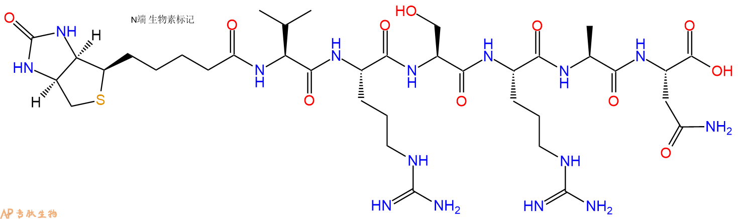 专肽生物产品Biotinyl-Val-Arg-Ser-Arg-Ala-Asn-OH