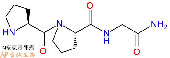 专肽生物产品H2N-Pro-Pro-Gly-CONH2