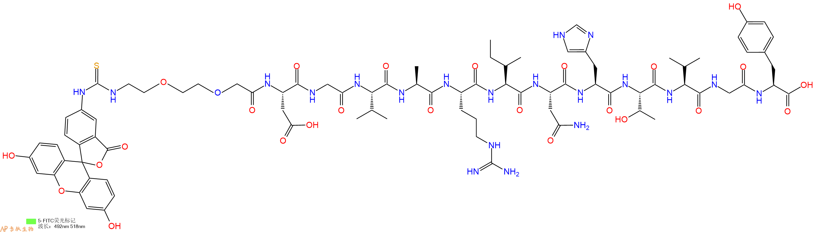 专肽生物产品5FITC-PEG2-Asp-Gly-Val-Ala-Arg-Ile-Asn-His-Thr-Val-Gly-Tyr
