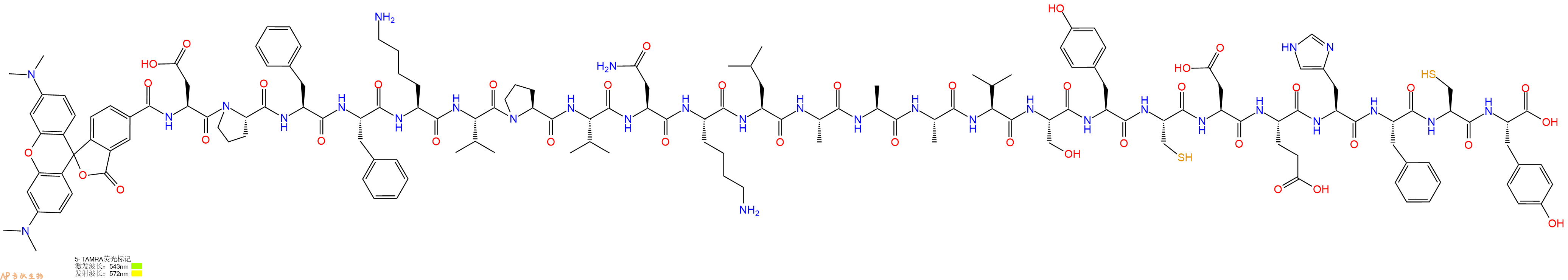 专肽生物产品5TAMRA-Asp-Pro-Phe-Phe-Lys-Val-Pro-Val-Asn-Lys-Leu-Ala-Ala-Ala-Val-Ser-Tyr-Cys-Asp-Glu-His-Phe-Cys-Tyr-OH