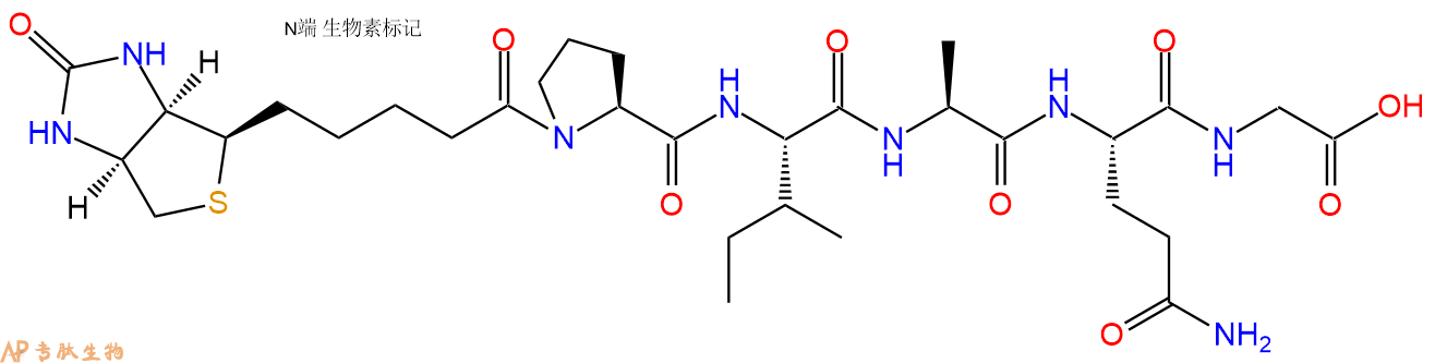 专肽生物产品Biotinyl-Pro-Ile-Ala-Gln-Gly-OH