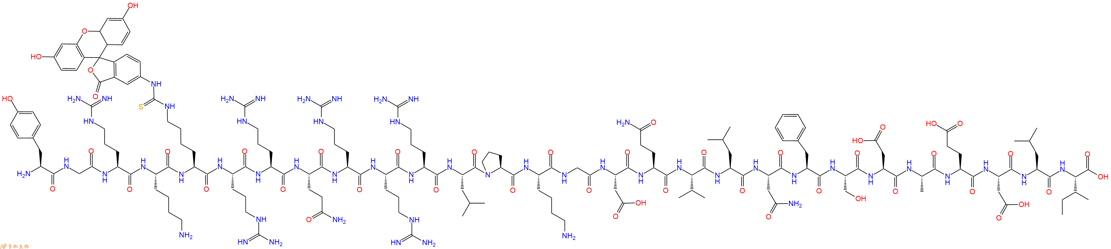 专肽生物产品H2N-Tyr-Gly-Arg-Lys-Lys(FITC)-Arg-Arg-Gln-Arg-Arg-Arg-Leu-Pro-Lys-Gly-Asp-Gln-Val-Leu-Asn-Phe-Ser-Asp-Ala-Glu-Asp-Leu-Ile-OH