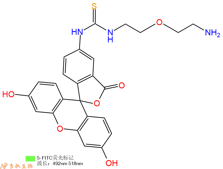 专肽生物产品5FITC-PEG-amine