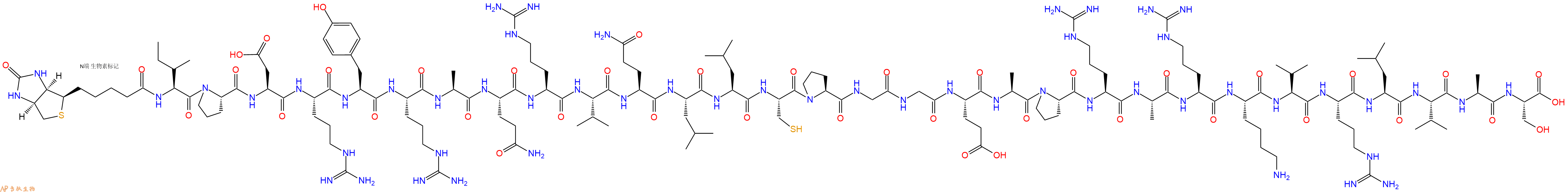 专肽生物产品Biotinyl-Ile-Pro-Asp-Arg-Tyr-Arg-Ala-Gln-Arg-Val-Gln-Leu-Leu-Cys-Pro-Gly-Gly-Glu-Ala-Pro-Arg-Ala-Arg-Lys-Val-Arg-Leu-Val-Ala-Ser-OH