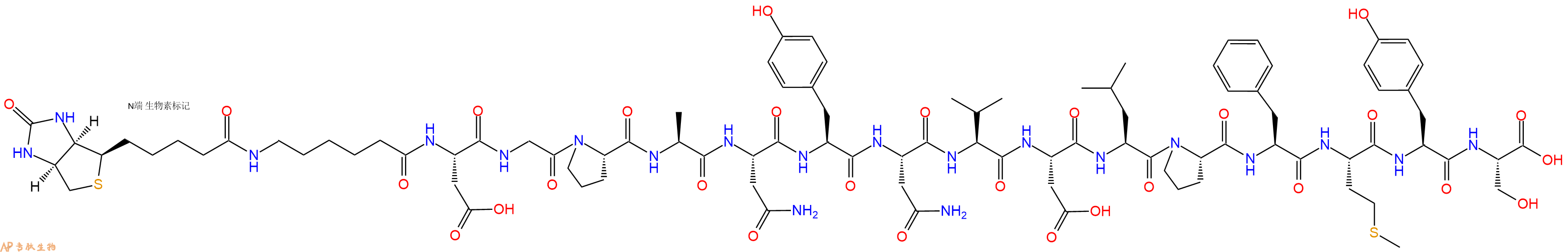 专肽生物产品Biotinyl-Ahx-Asp-Gly-Pro-Ala-Asn-Tyr-Asn-Val-Asp-Leu-Pro-Phe-Met-Tyr-Ser-OH