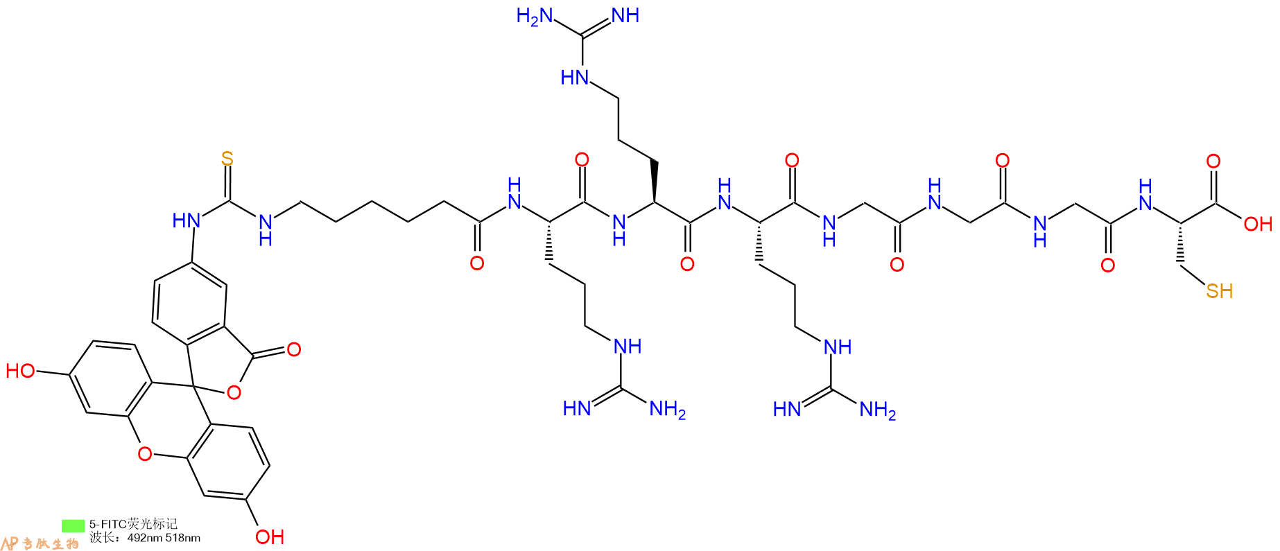 专肽生物产品5FITC-Ahx-Arg-Arg-Arg-Gly-Gly-Gly-Cys-OH