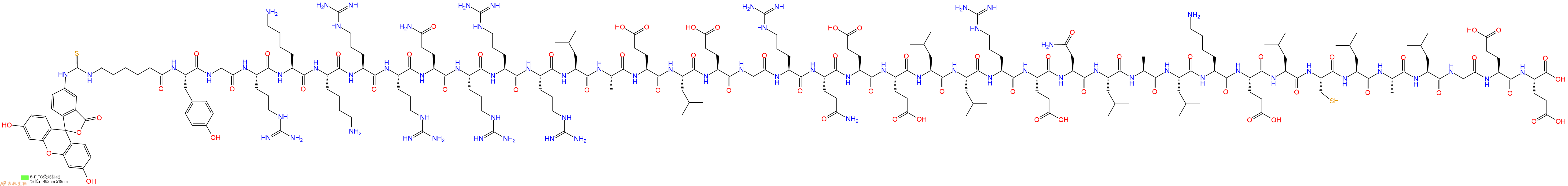 专肽生物产品5FITC-Ahx-Tyr-Gly-Arg-Lys-Lys-Arg-Arg-Gln-Arg-Arg-Arg-Leu-Ala-Glu-Leu-Glu-Gly-Arg-Gln-Glu-Glu-Leu-Leu-Arg-Glu-Asn-Leu-Ala-Leu-Lys-Glu-Leu-Cys-Leu-Ala-Leu-Gly-Glu-Glu-OH