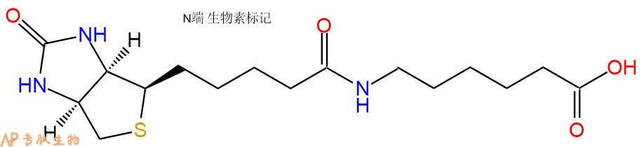专肽生物产品Biotinyl-Ahx-OH