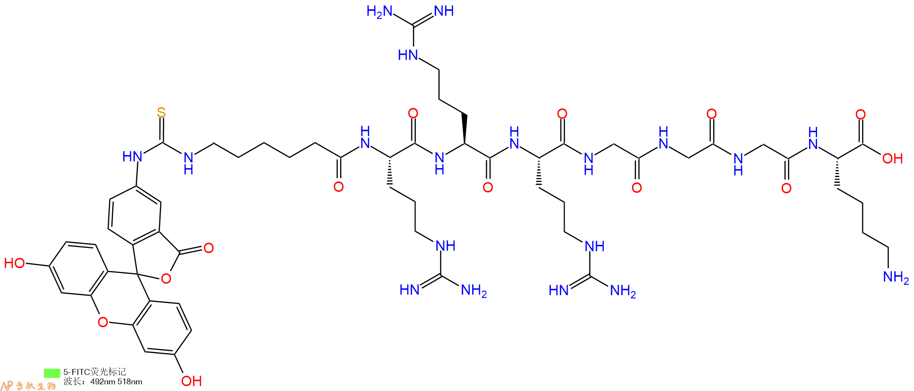 专肽生物产品5FITC-Ahx-Arg-Arg-Arg-Gly-Gly-Gly-Lys-OH