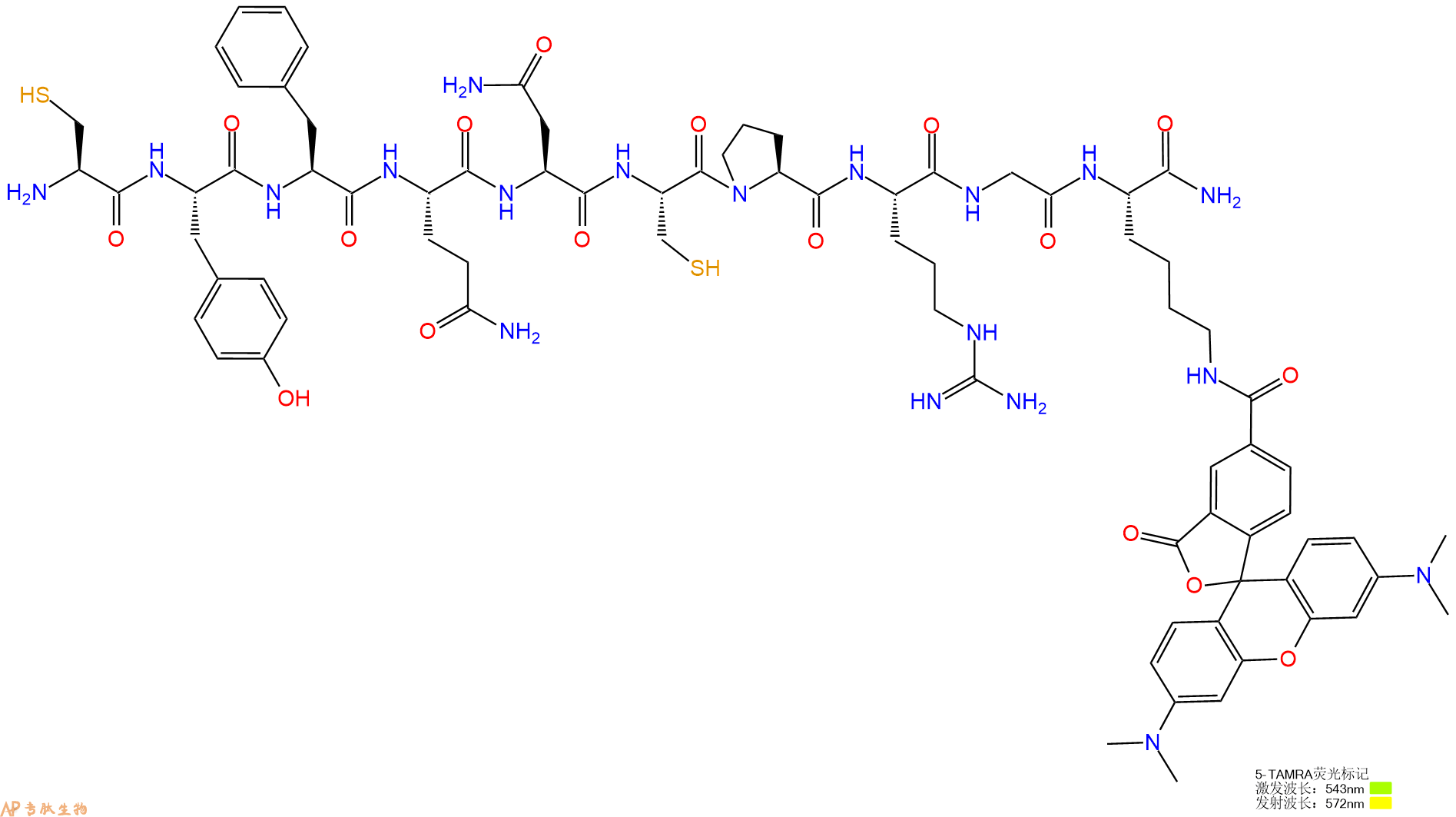 专肽生物产品H2N-Cys-Tyr-Phe-Gln-Asn-Cys-Pro-Arg-Gly-Lys(TAMRA)-CONH2