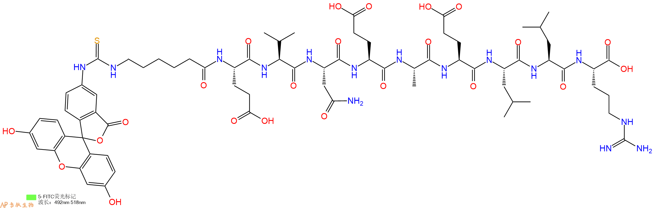 专肽生物产品5FITC-Ahx-Glu-Val-Asn-Glu-Ala-Glu-Leu-Leu-Arg-OH