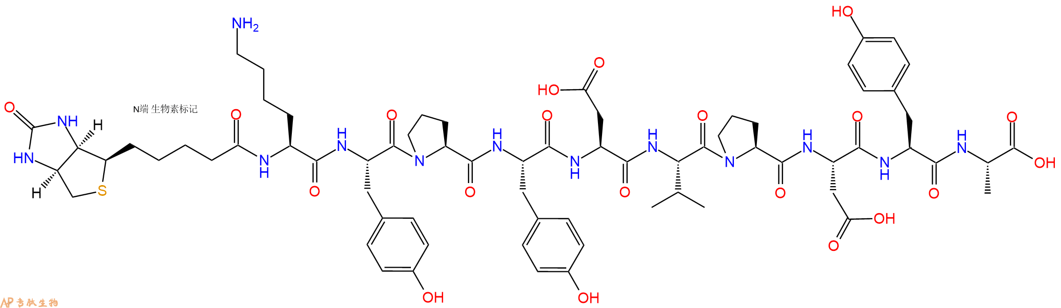 专肽生物产品Biotinyl-Lys-Tyr-Pro-Tyr-Asp-Val-Pro-Asp-Tyr-Ala-OH