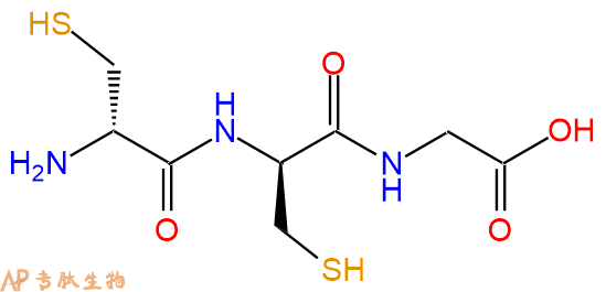 专肽生物产品H2N-DCys-DCys-Gly-OH