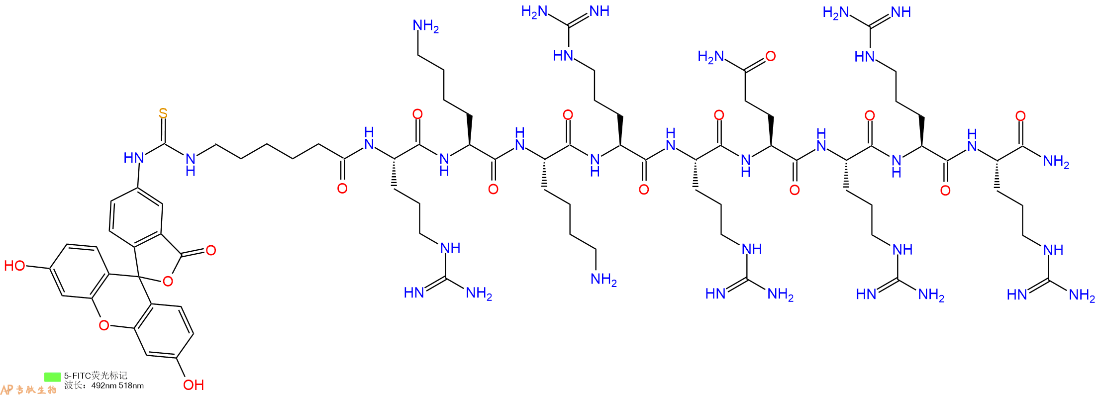 专肽生物产品5FITC-Ahx-Arg-Lys-Lys-Arg-Arg-Gln-Arg-Arg-Arg-CONH2