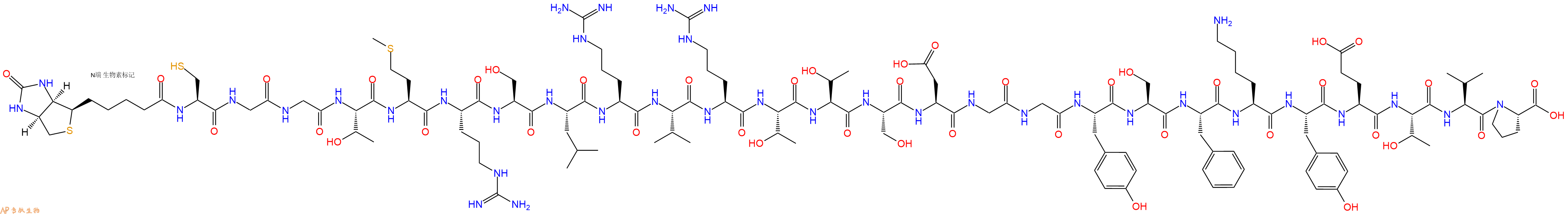 专肽生物产品Biotinyl-Cys-Gly-Gly-Thr-Met-Arg-Ser-Leu-Arg-Val-Arg-Thr-Thr-Ser-Asp-Gly-Gly-Tyr-Ser-Phe-Lys-Tyr-Glu-Thr-Val-Pro-OH