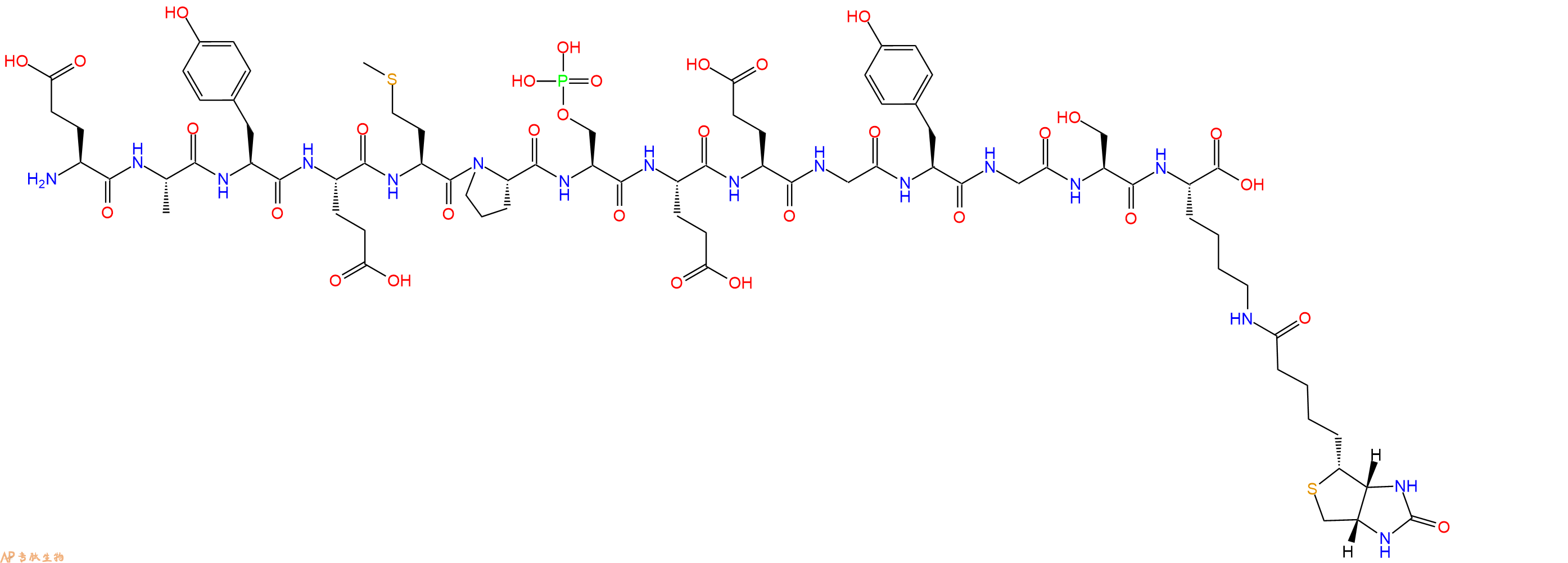 专肽生物产品H2N-Glu-Ala-Tyr-Glu-Met-Pro-Ser(PO3H2)-Glu-Glu-Gly-Tyr-Gly-Ser-Lys(Biotin)-OH