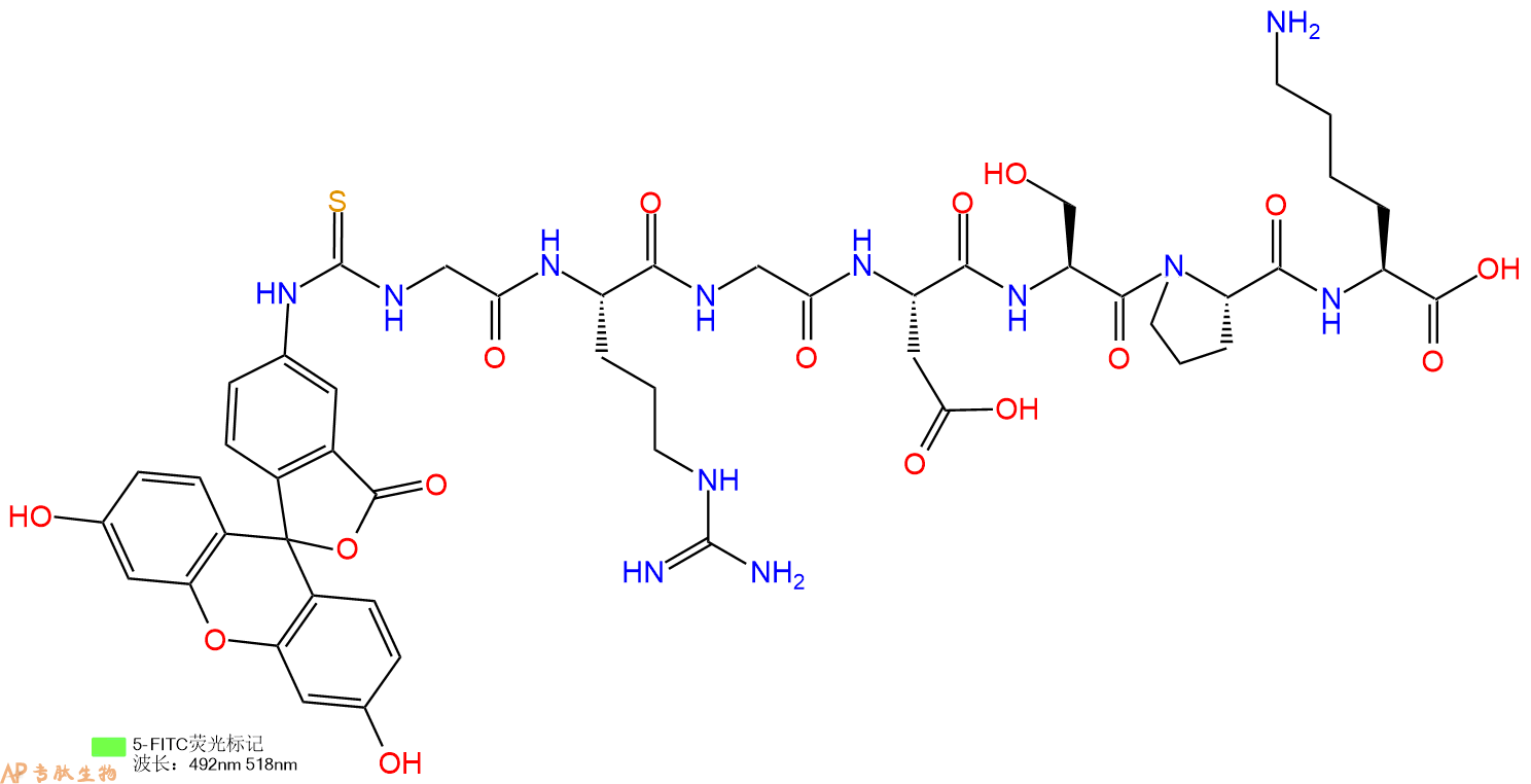 专肽生物产品5FITC-Gly-Arg-Gly-Asp-Ser-Pro-Lys-OH