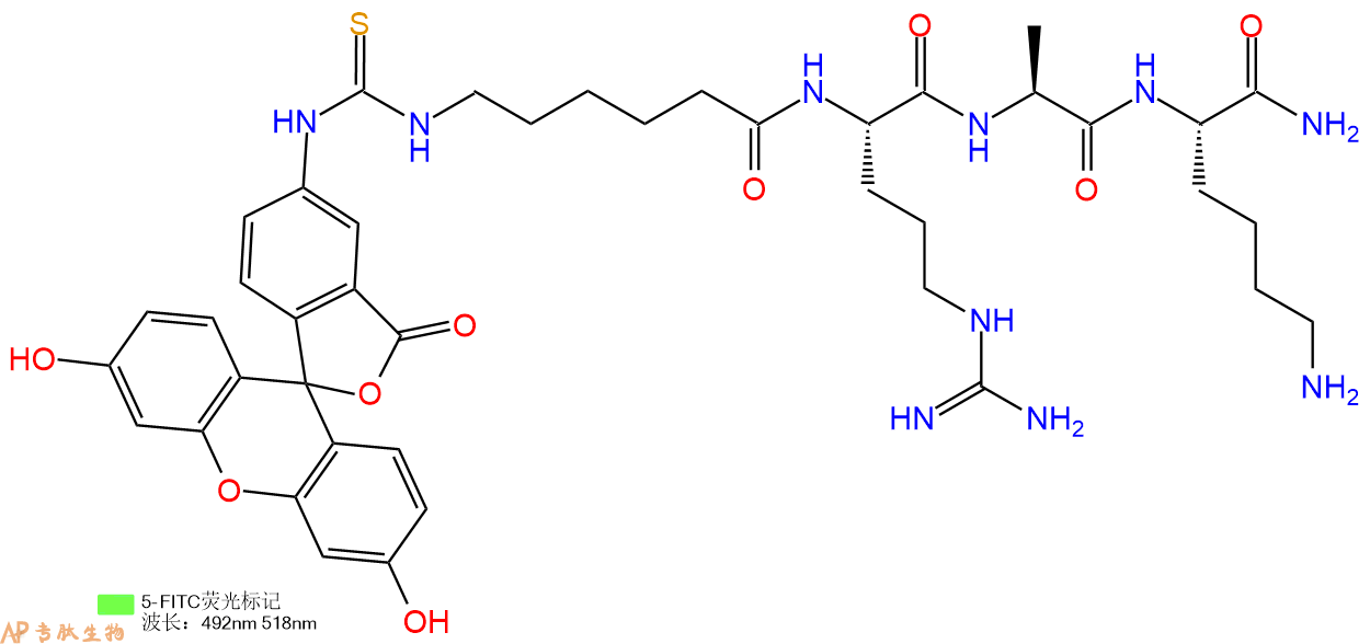 专肽生物产品5FITC-Ahx-Arg-Ala-Lys-CONH2