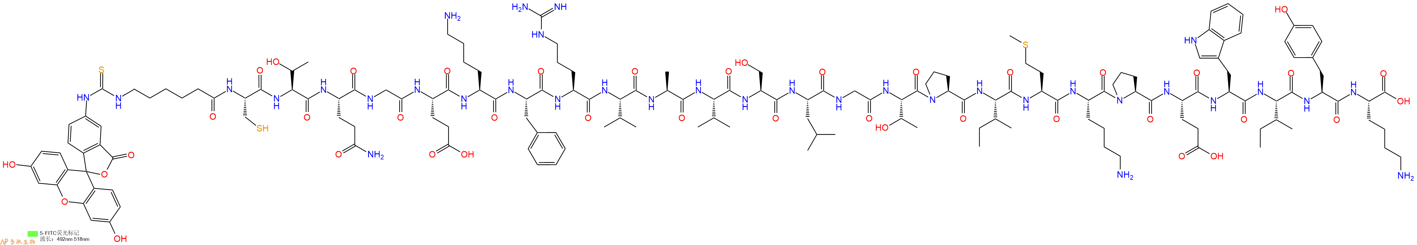 专肽生物产品5FITC-Ahx-Cys-Thr-Gln-Gly-Glu-Lys-Phe-Arg-Val-Ala-Val-Ser-Leu-Gly-Thr-Pro-Ile-Met-Lys-Pro-Glu-Trp-Ile-Tyr-Lys-OH