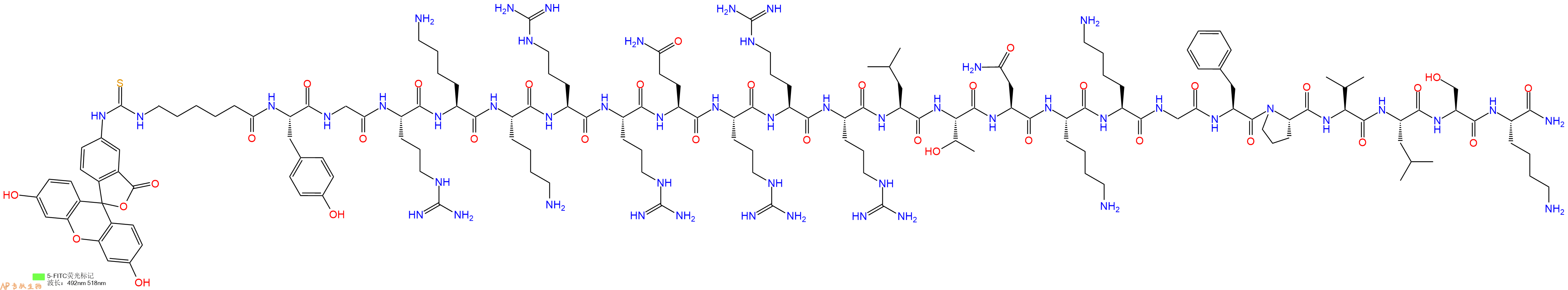 专肽生物产品5FITC-Ahx-Tyr-Gly-Arg-Lys-Lys-Arg-Arg-Gln-Arg-Arg-Arg-Leu-Thr-Asn-Lys-Lys-Gly-Phe-Pro-Val-Leu-Ser-Lys-CONH2