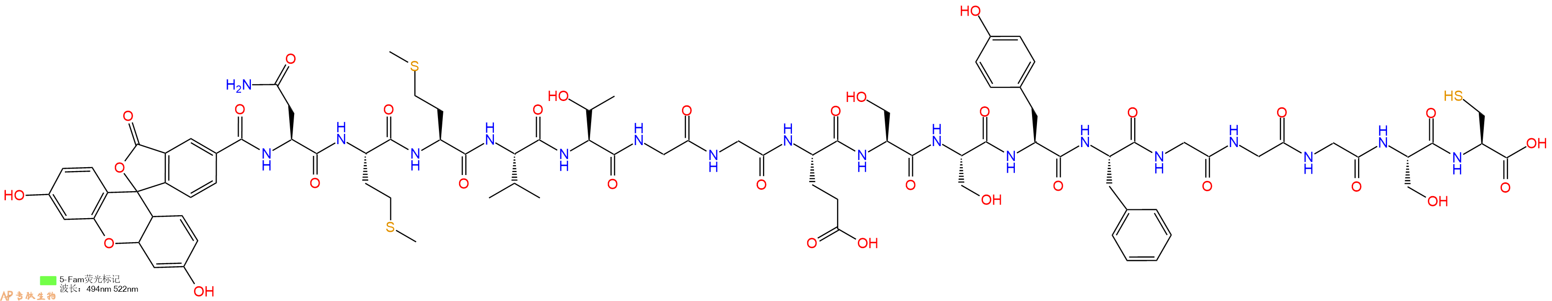 专肽生物产品5FAM-Asn-Met-Met-Val-Thr-Gly-Gly-Glu-Ser-Ser-Tyr-Phe-Gly-Gly-Gly-Ser-Cys-OH